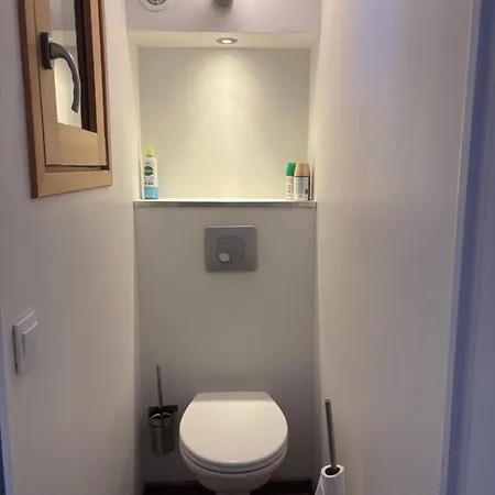 Triplex De 42m2 Proche Piste Retour De St-gervais Appartement Saint-Gervais-les-Bains